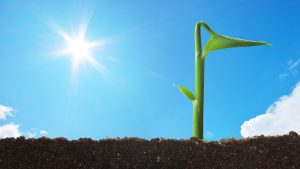 بهار؛ فصل نو شدن زندگی و احیای روحیه انسانی